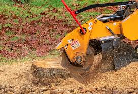 Best Arborist Consultation Services  in Hemet, CA