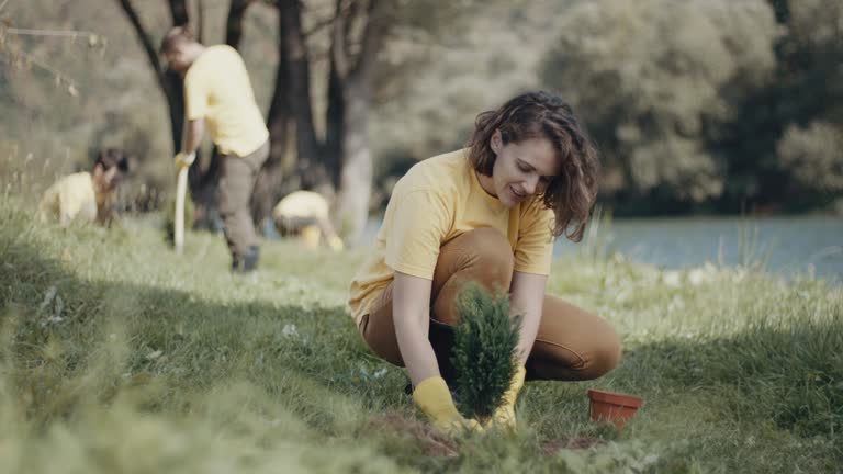 Best Stump Grinding and Removal  in Hemet, CA