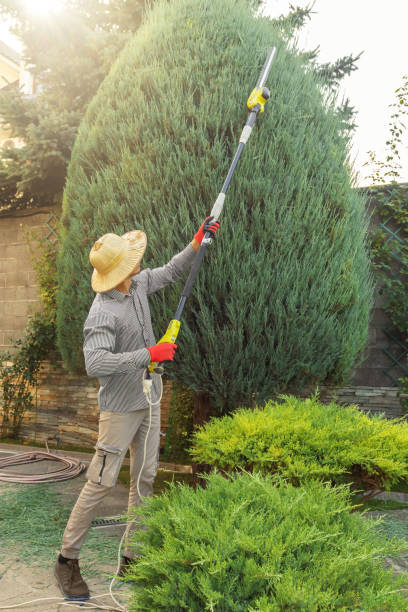 Best Lawn Irrigation Installation and Maintenance  in Hemet, CA